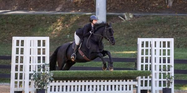 Wielkopolski First Impression (ex. Bosman) z tytułem Grand Hunter Champion USA