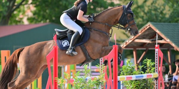 Lena Puszkarewicz i LILI MARLENE sp zwyciężyły w konkursie rundy CSIOCh na Węgrzech