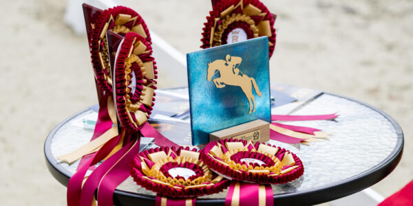 Prezes PZHK nagrodził najlepsze źrebięta polskiej hodowli Racot Foal Show