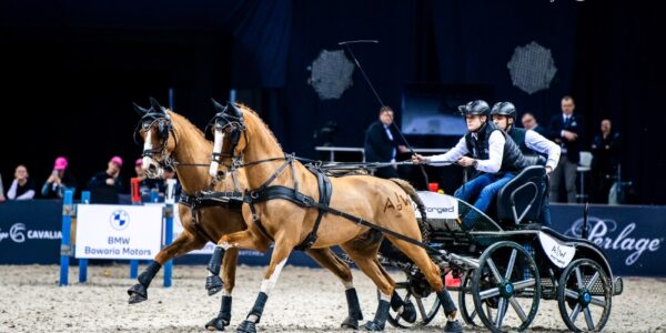 Aleksander Fularczyk z polskiej hodowli Nutą i Neptunem wygrali Cavaliada Driving Tour