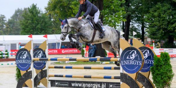 Ogier ALCONTINUS sp sprzedany do&nbsp;USA