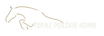 Time for Polish Horses